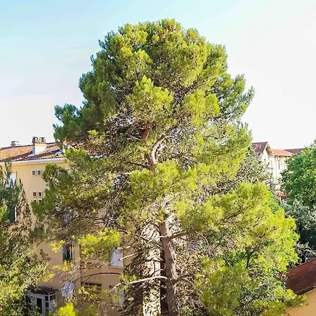 A La Cime Des Pins Appartement